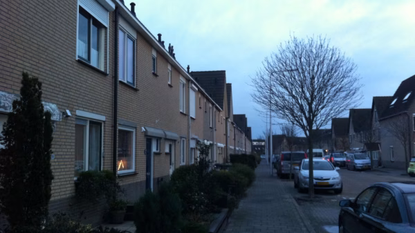 Johannes Vermeerstraat , Monster