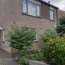 Aalbessestraat, Naaldwijk vooraf