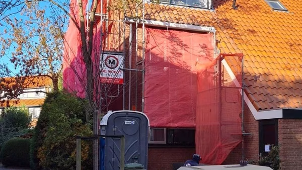 Paardebloem, Naaldwijk